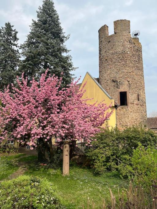 La Jolie Maison Bleue, Au Coeur De L'Alsace Kaysersberg-Vignoble Exterior photo