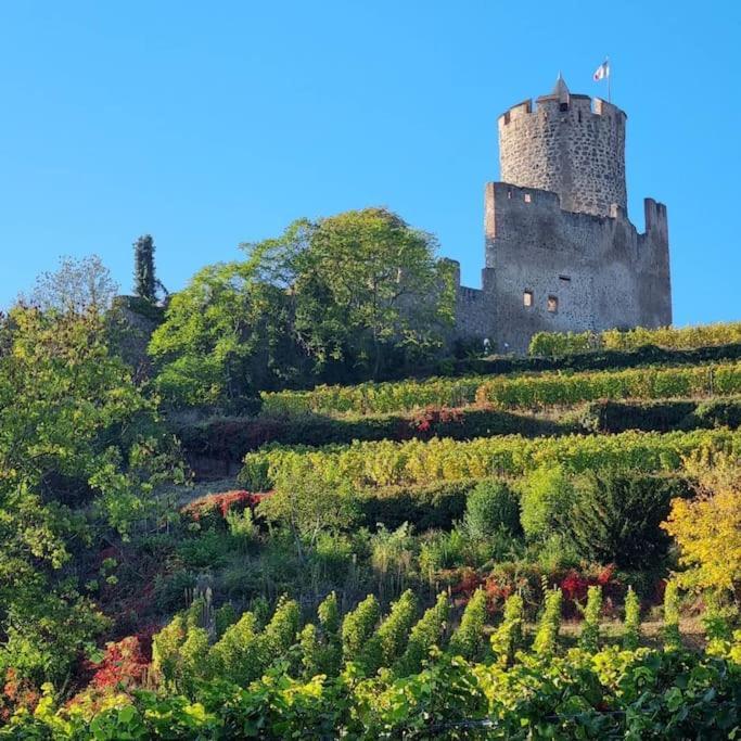 La Jolie Maison Bleue, Au Coeur De L'Alsace Kaysersberg-Vignoble Exterior photo