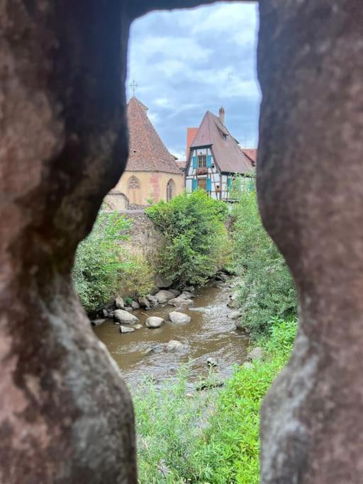La Jolie Maison Bleue, Au Coeur De L'Alsace Kaysersberg-Vignoble Exterior photo