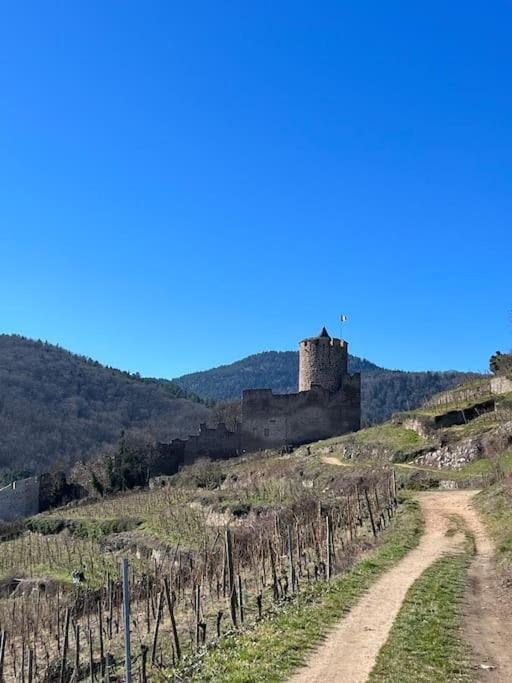La Jolie Maison Bleue, Au Coeur De L'Alsace Kaysersberg-Vignoble Exterior photo